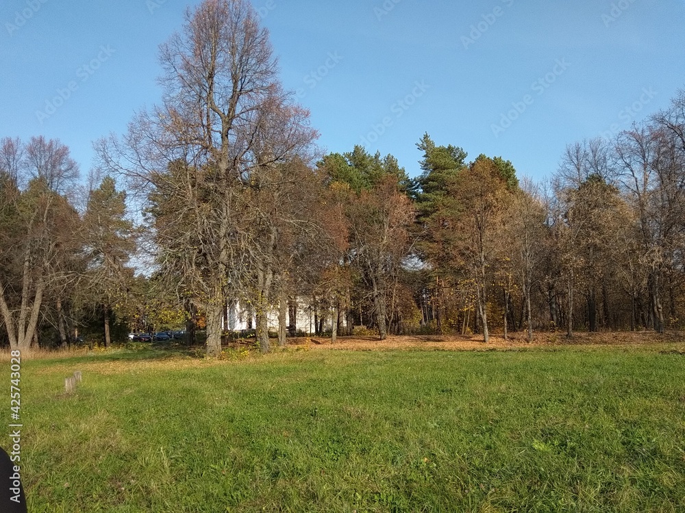 Obraz premium Россия. Нижегородская область, село Ветошкино, усадьба Пашковых.