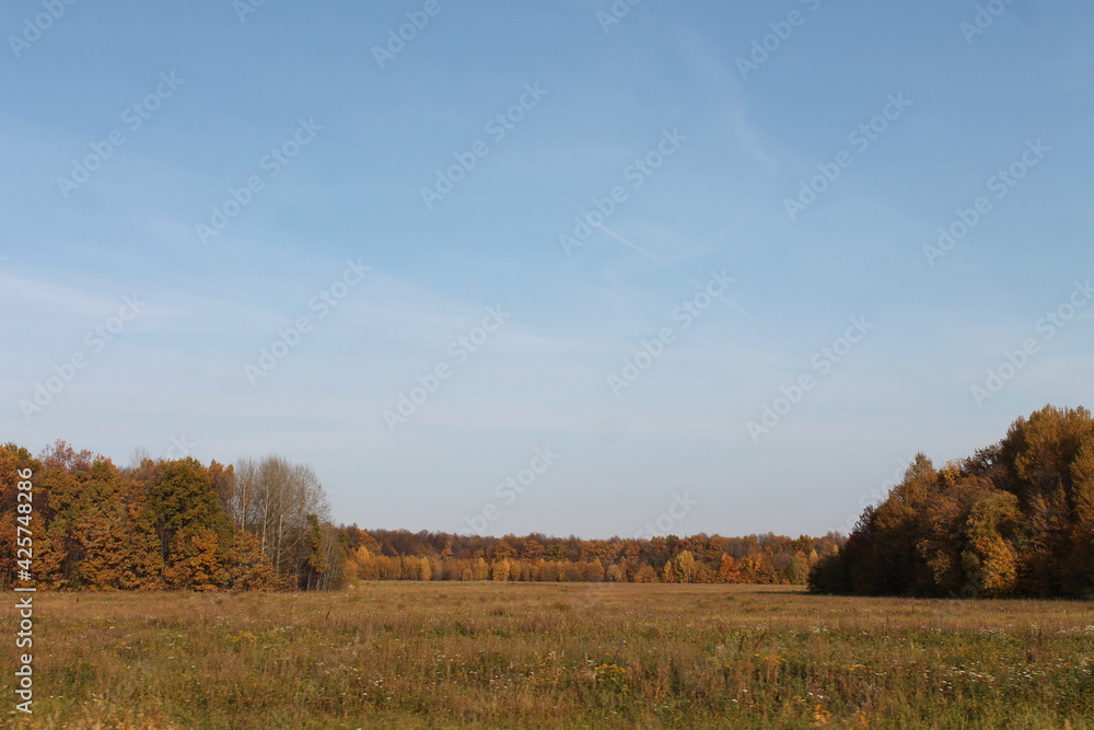 Нижегородская область, Россия, Ветошкино, усадьба Пашковых.