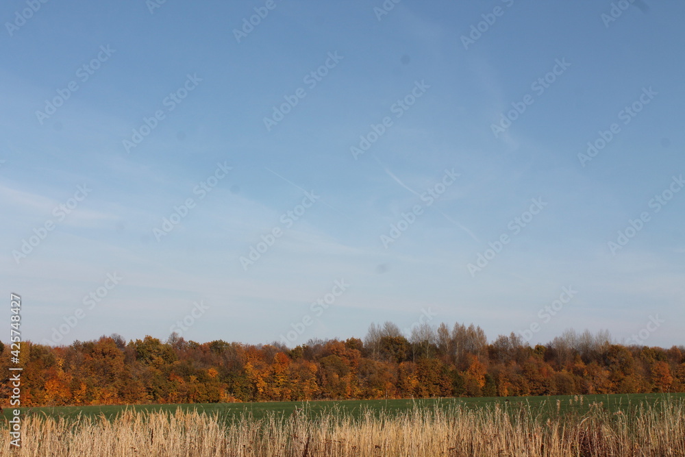 Fototapeta premium Нижегородская область, Россия, Каменищи.
