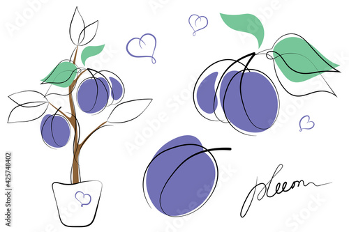 Fresh blue plum with leaves, plum tree in pot on white background. Outline doodle, cartoon flat style. Sketch. Abstract illustration.