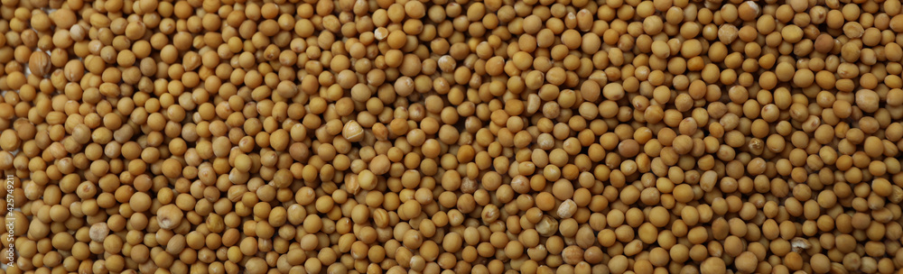 Mustard seeds on whole background, close up Mustard seeds on whole background, close up