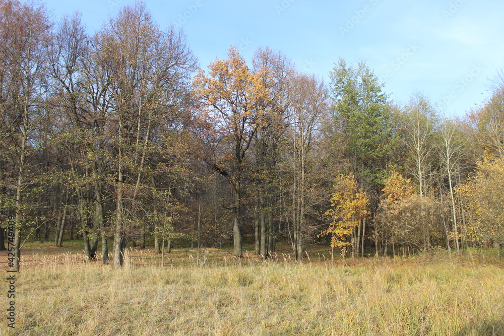 Nizhny Novgorod region, Russia, Krasnaya Glinka