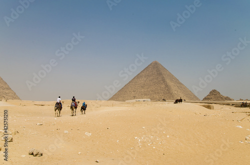 on the way to a pyramid in Cairo using camels