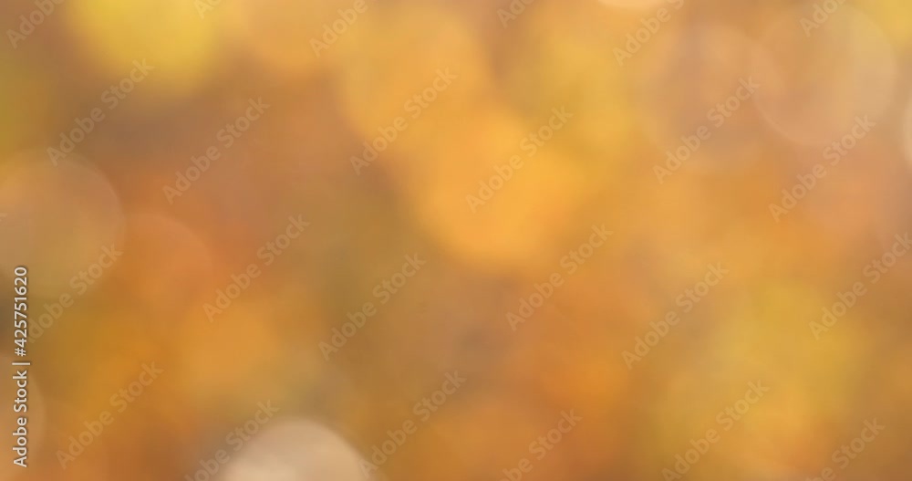 autumnal natural bokeh background or backdrop, fall autumn season graphic object