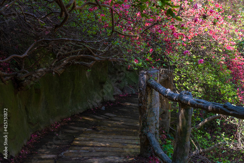 Spring scenery of Huangpi Mulan Yunwu Mountain in Wuhan, Hubei photo