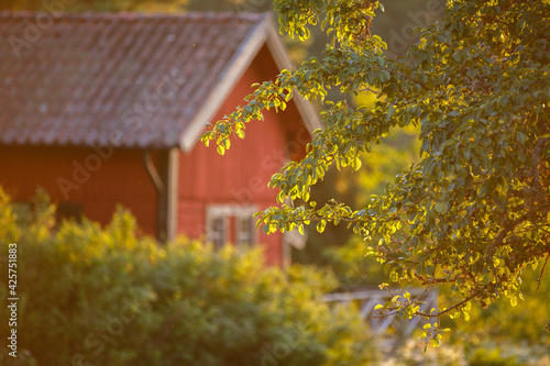 Classic Red summer garden cottage in Sweden. Traditional Sweden wooden old house in sunset light. Life on the one of Sweden islands photo