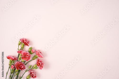 Design concept of Mother's day holiday greeting with carnation bouquet on pink table background