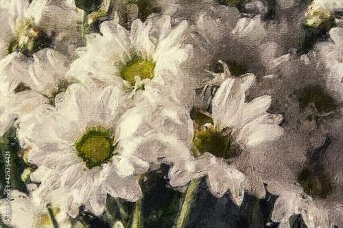 Oil painting White Daisy