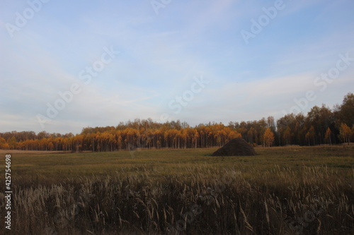 Nizhny Novgorod region, Russia, Krasnaya Glinka.