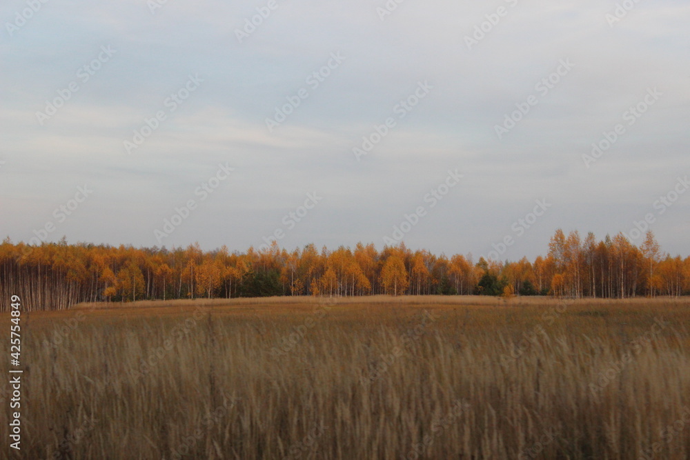 Nizhny Novgorod region, Russia, Krasnaya Glinka. Nizhny Novgorod region, Russia, Krasnaya Glinka.