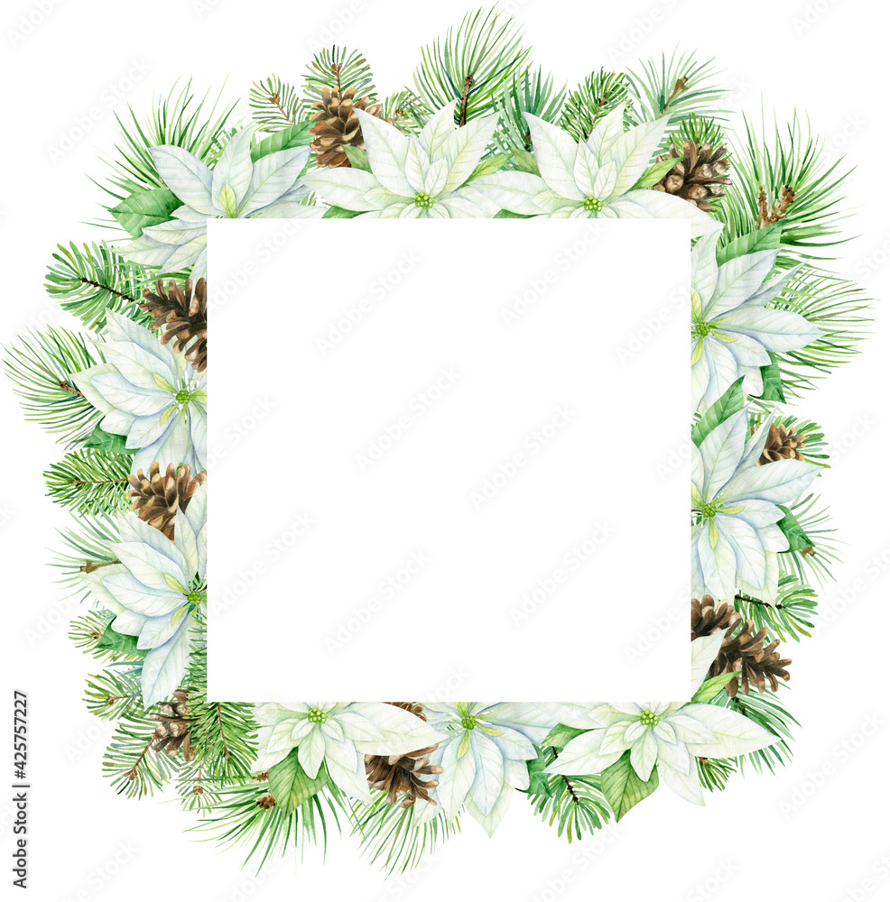 Watercolor christmas square frame with white poinsettia flowers. Botanical illustration isolated on white background. Perfect for cards, invitations, template