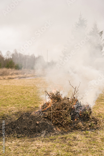 A burning fire of dry grass. Burning garbage in the garden at early spring. White smoke.