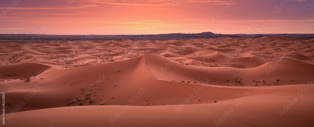 Panorama in the desert at sunrise. Dunes Erg Chebbi in the Sahara desert near Merzouga, Morocco , Africa. Beautiful sand landscape with stunning sky.