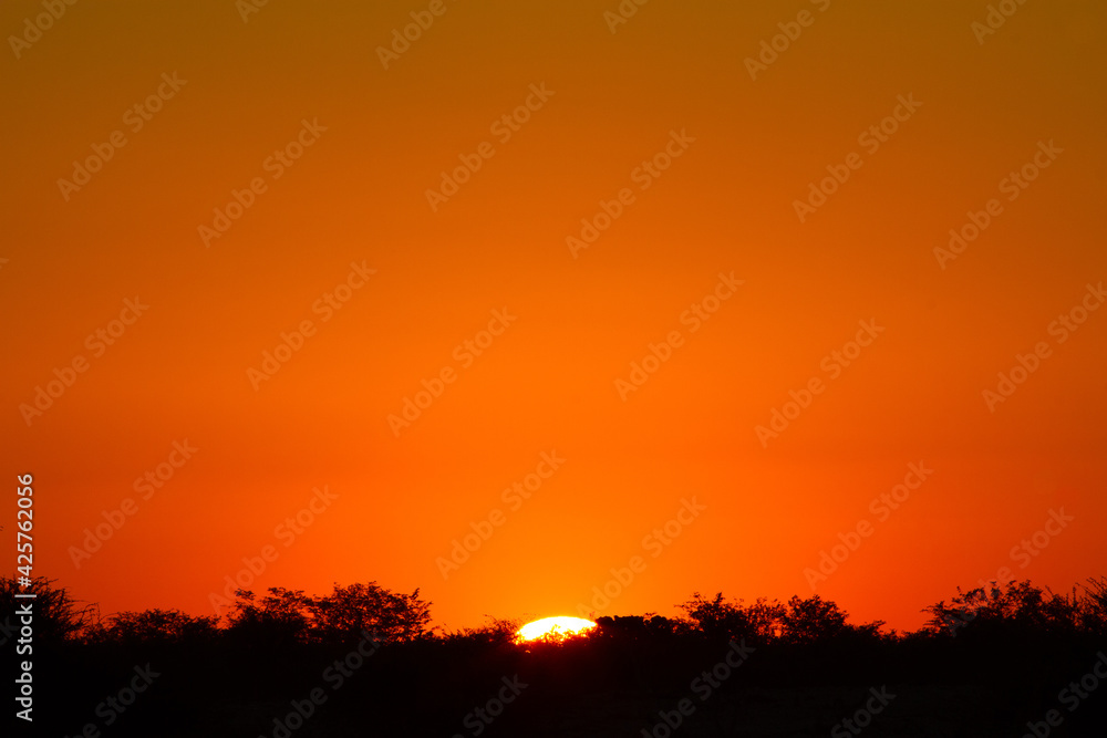 African sunset or sunrise as background