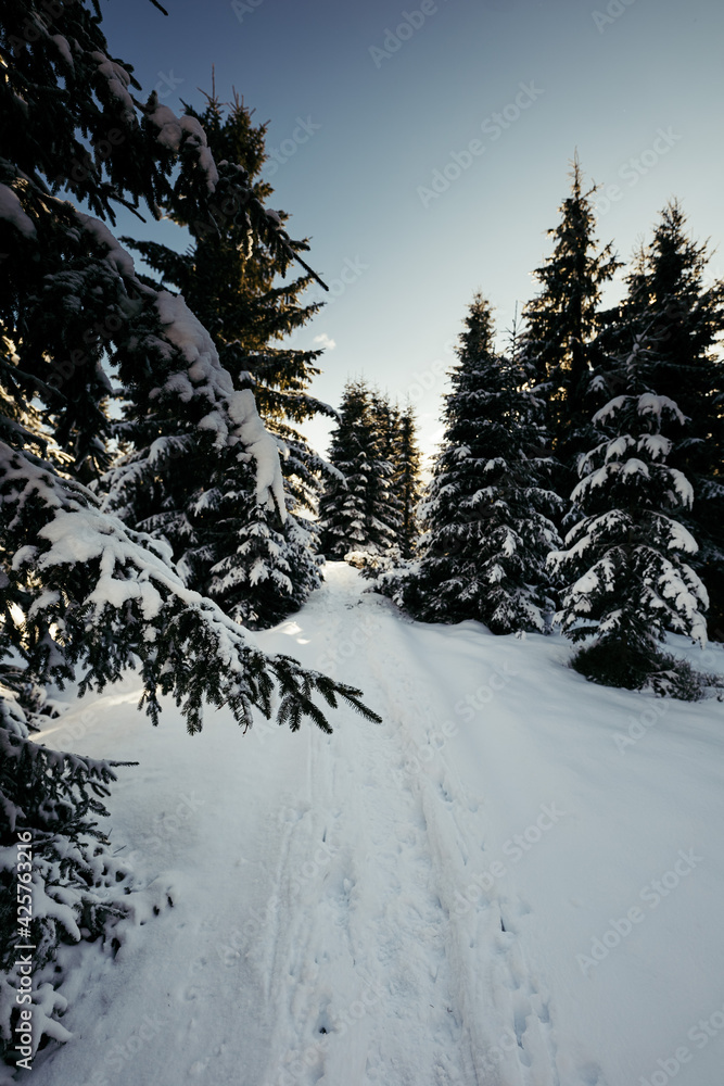 A man riding skis down a snow covered slope A man riding skis down a snow covered slope