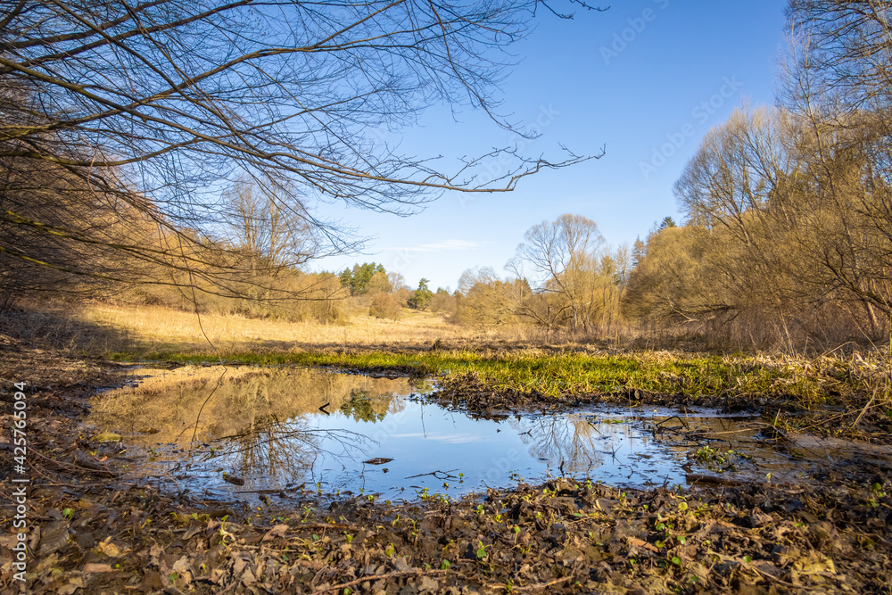 Obraz premium Spring landscape with water puddle, trees and meadows