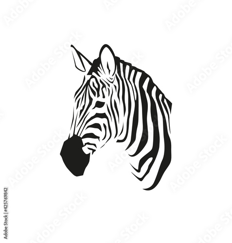 African zebra portrait in vector isolated on white background. Wild animal black and white illustration for minimalist print or other design