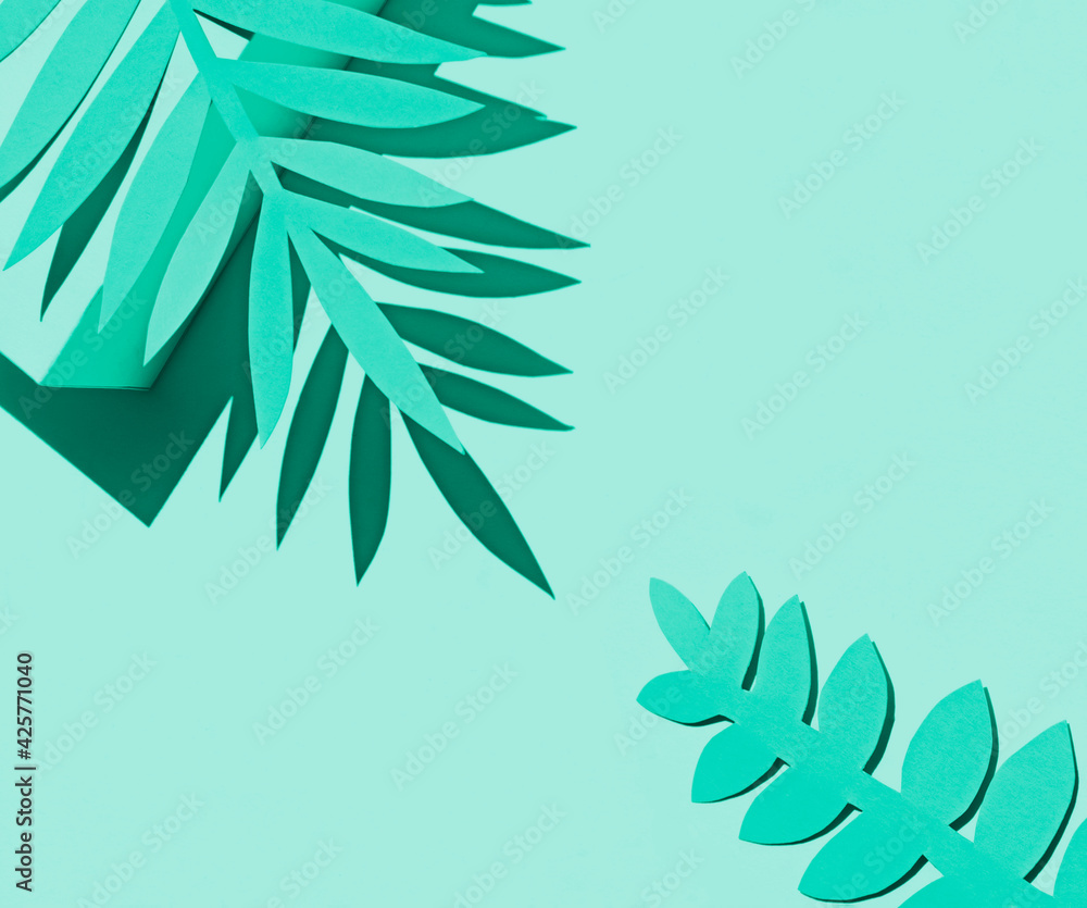 Tropical leaves shadows on the white paper background on the noon sun. Summer concept frame. Copy space Tropical leaves shadows on the white paper background on the noon sun. Summer concept frame. Copy space