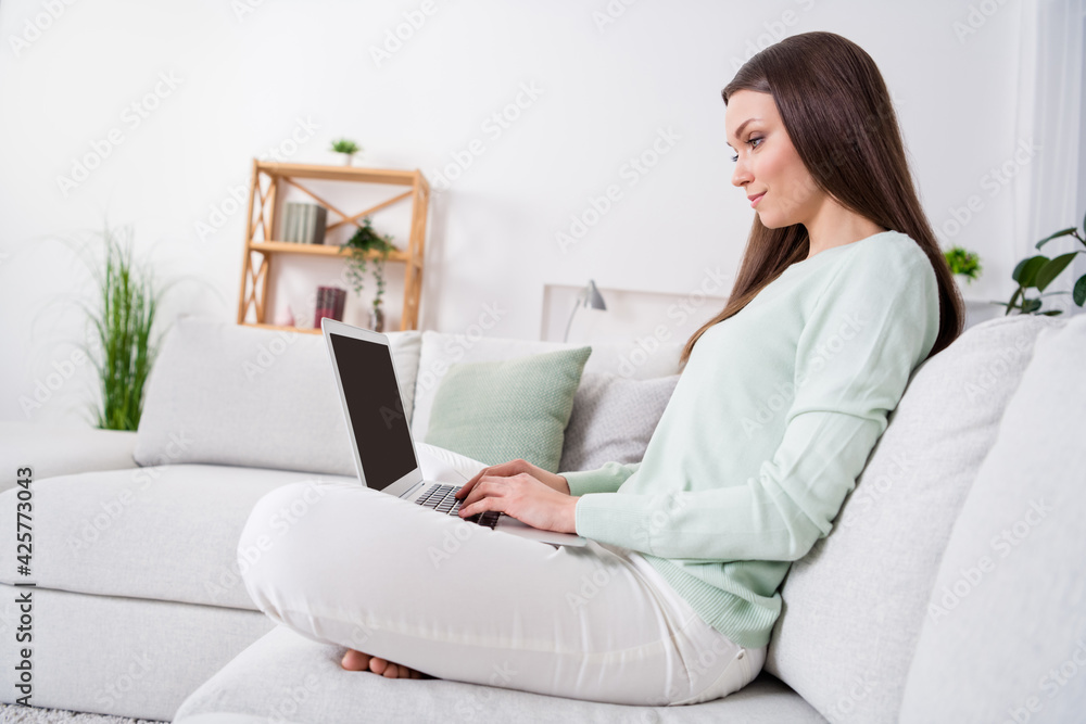 Profile side view portrait of attractive focused girl sitting on couch using laptop writing client support at light home house indoor Profile side view portrait of attractive focused girl sitting on couch using laptop writing client support at light home house indoor