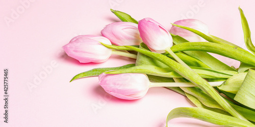 Fototapeta Naklejka Na Ścianę i Meble -  Bouquet of gentle pink tulips on pastel rosy color background