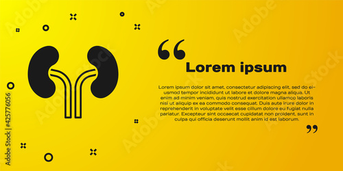 Black Human kidneys icon isolated on yellow background. Vector