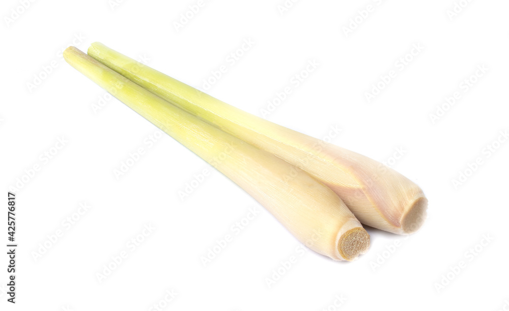 Fresh Lemongrass on white background. copy space Fresh Lemongrass on white background. copy space