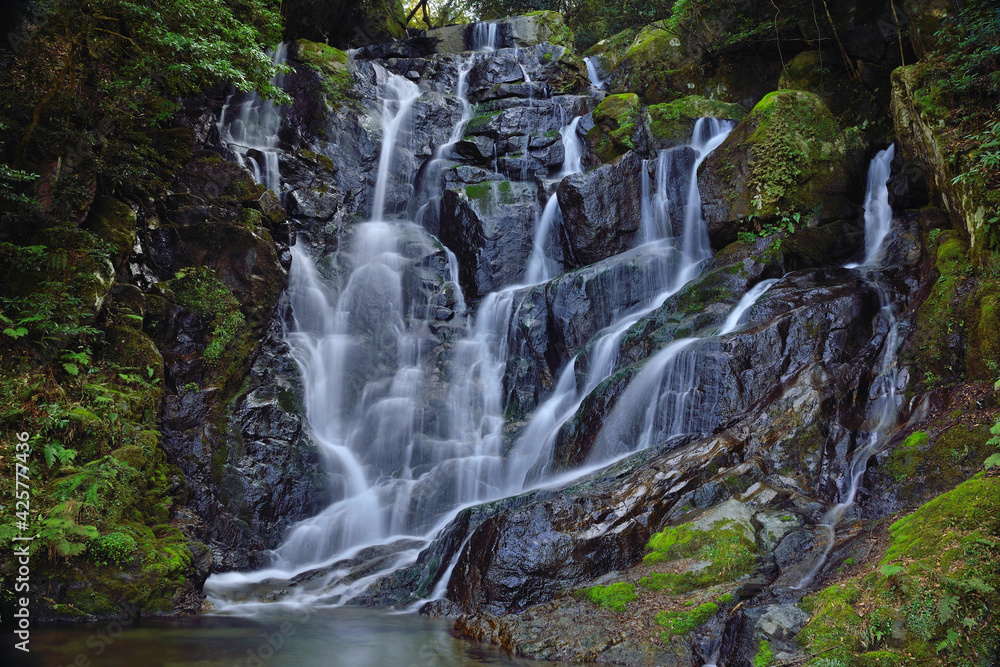 Obraz premium 白糸の滝