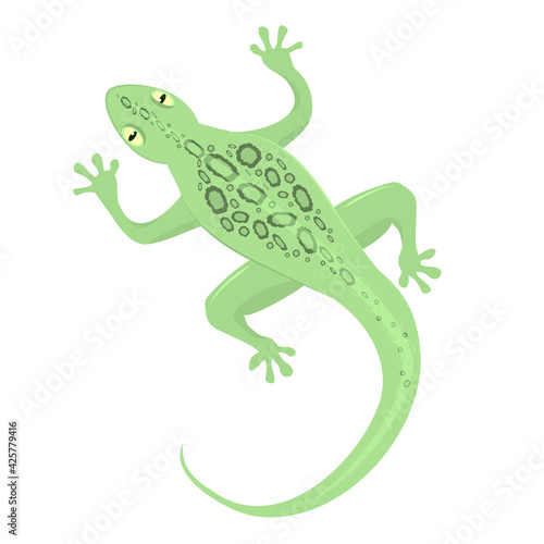 vector illustration of a green lizard isolated on a white background