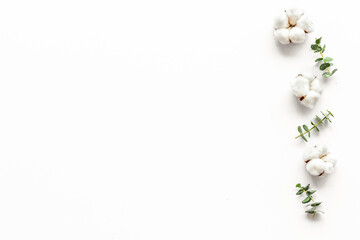 Flowers border with green eucalyptus branches and dry cotton flowers on white background top view copy space
