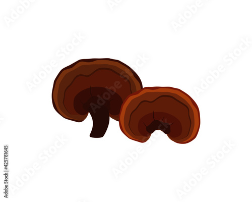 Lingzhi mushroom ( Ganoderma Lucidum, Reishi mushroom )  isolated on white background. Icon vector illustration.