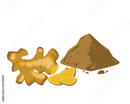 Ginger powder and ginger rhizome isolated on white background. Icon vector illustration