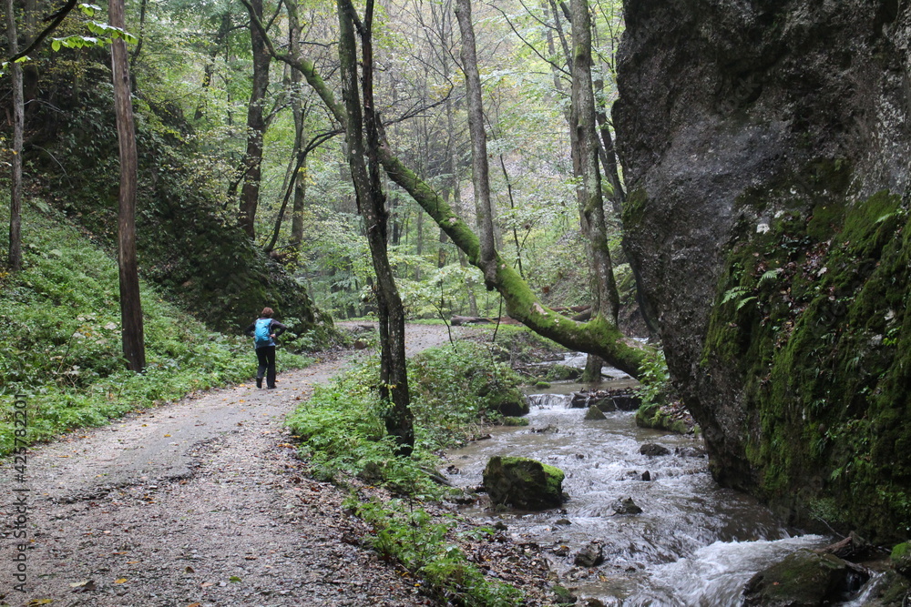 Pathway in canyon of Zadiel valley in eastern Slovakia