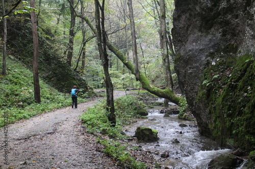 Pathway in canyon of Zadiel valley in eastern Slovakia