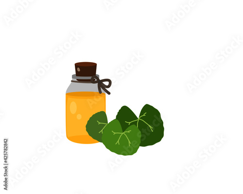 oil with green gotu kola leaf photo