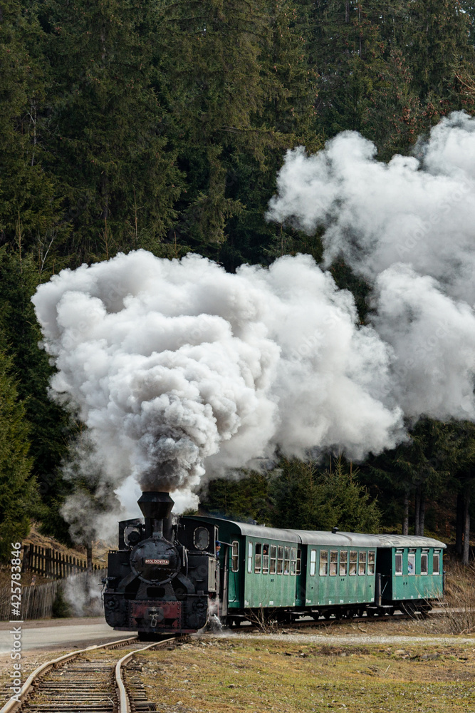Obraz premium steam train in the forest