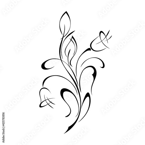ornament 1675. stylized curved twig with bell flowers, leaves and curls