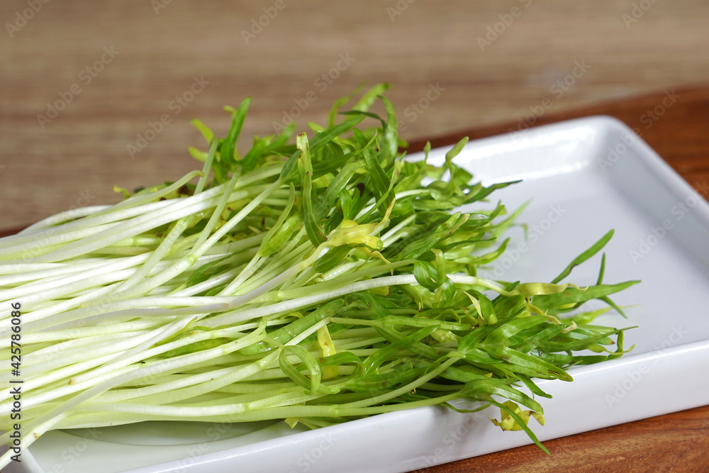 Morning glory seedlings are not fully grown on wooden. Micro Greens are vegetables with high nutritional value, suitable for salads or vegetable consumers. young sprout microgreen organic. Morning glory seedlings are not fully grown on wooden. Micro Greens are vegetables with high nutritional value, suitable for salads or vegetable consumers. young sprout microgreen organic.