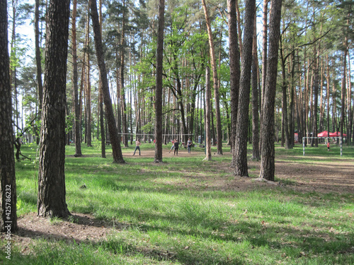 Scene with sport activities in the forest in the spring season. Child playing basketball with parents on a sunny day. People walking in park.