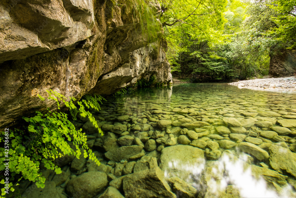 Naklejka premium River