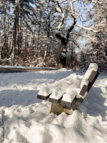 bench in the park