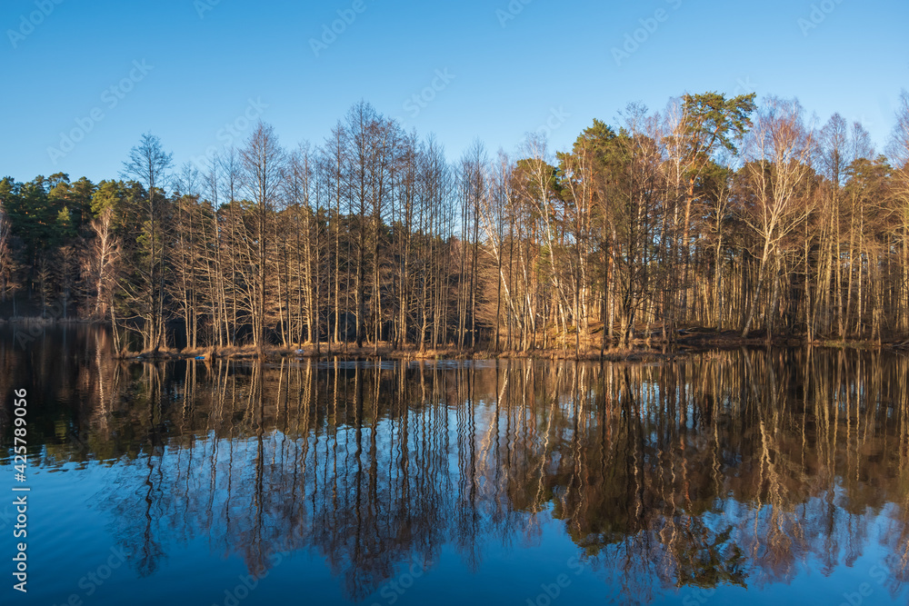 Landscape with bare trees and clear blue sky reflecting in the calm water on sunny spring evening