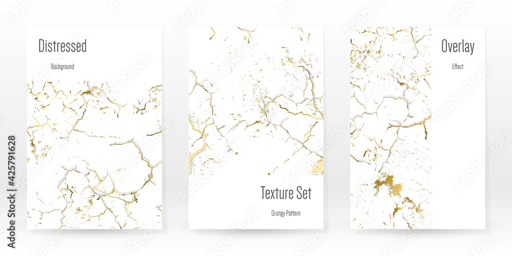 Fototapeta Elegant Gold Texture Set. Marble Business Card.