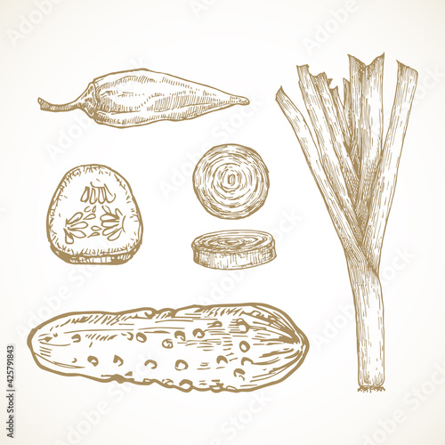 Hand Drawn Vegetables and Herbs Vector Illustrations Collection. Leek Onion, Jalapeno Pepper, Pickle and Cucumber Sketches Set. Natural Food Doodles. Isolated