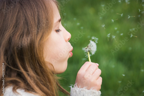 petite fille en train de souffler sur une fleur de pissenlit pour faire s'encoler toutes les graines comme des parachutes. Un joli moment de tendresse et de bonheur enfantin au printemps. photo