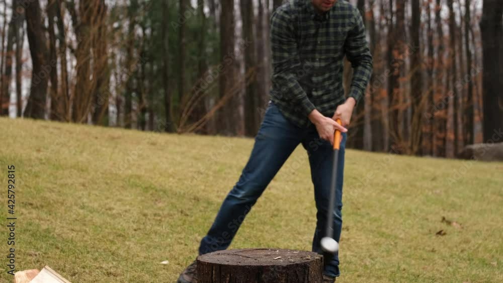 Man cutting wooden log into two halves in forest Man cutting wooden log into two halves in forest