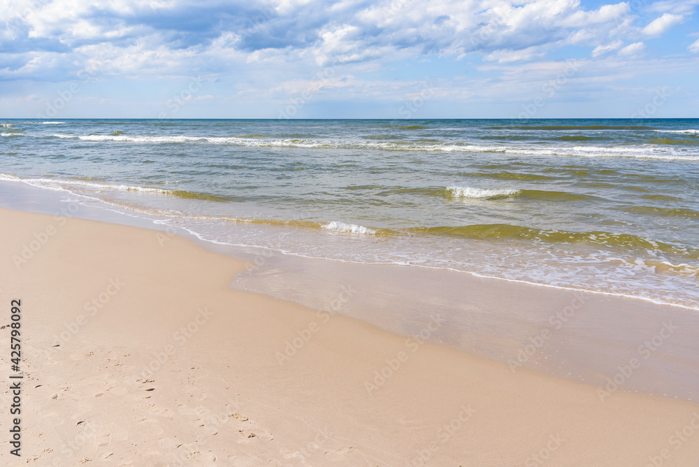Coast of Baltic sea as summer background