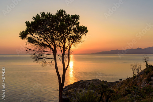 Lonely tree on the cliff at Tyrrhenian Sea © mkos83