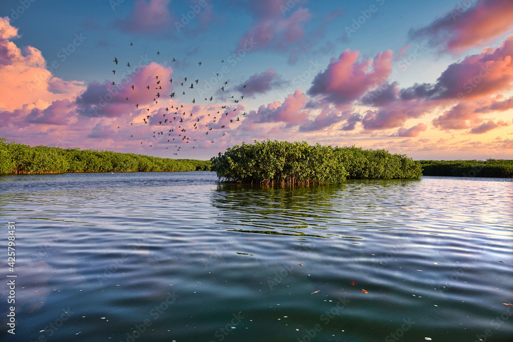 Lagune De La Somone Au S n gal Stock Photo Adobe Stock