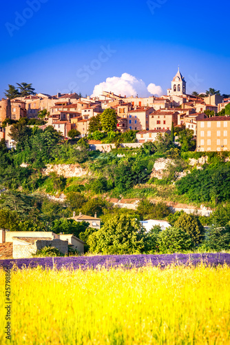 Sault, France - Lavender field landscape in Provence photo