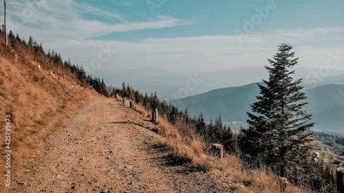 Fototapeta Naklejka Na Ścianę i Meble -  szlak na Baranią Górę 